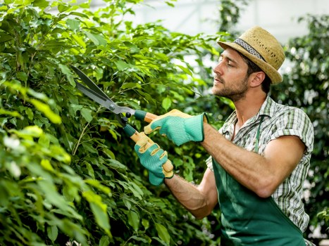 Gardener finishing a border tidy-up