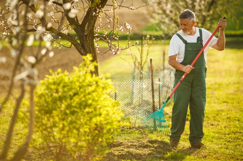 Team member inspecting plants in a garden