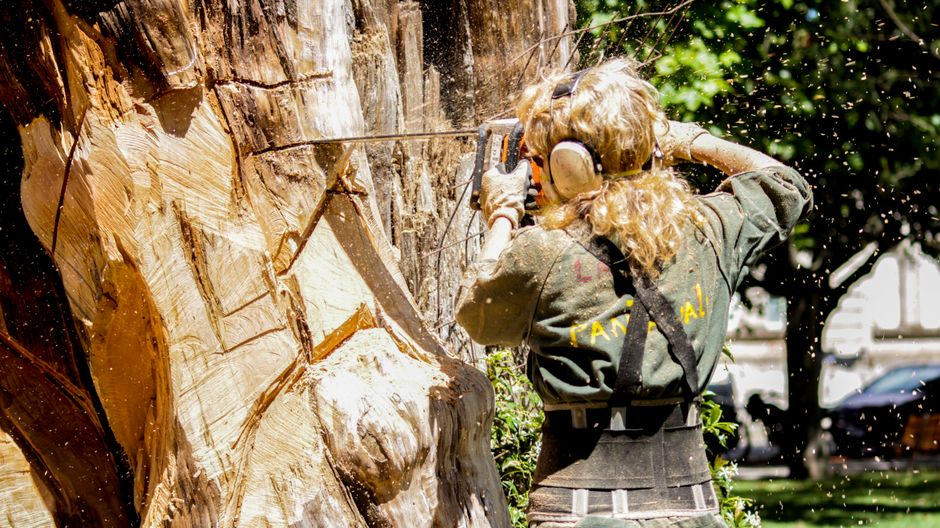 A gardener wearing safety glasses, a dark cap, and casual clothing is perched high in a mature tree, using climbing gear and ropes to perform maintenance or removal work. The tree has thick, textured
